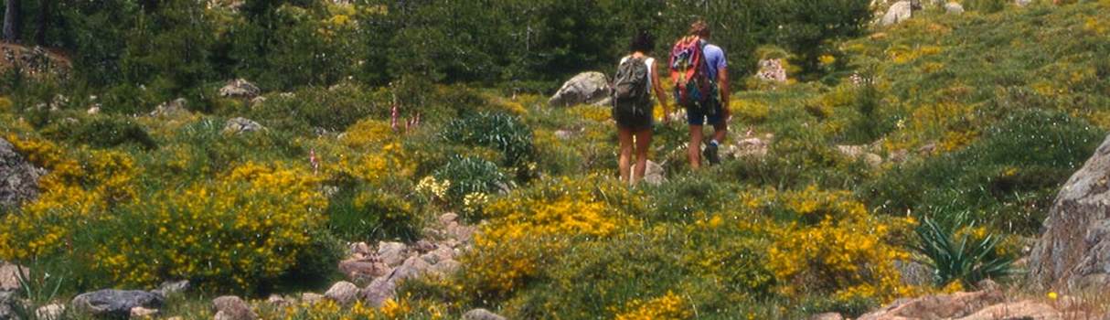Corse au printemps
