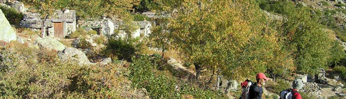 Bergeries de Pantaniccia