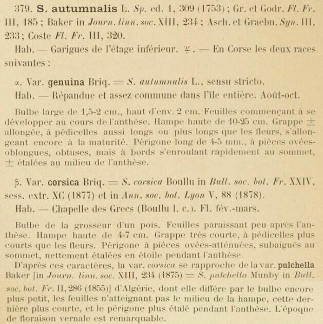 Prodrome-John_Briquet