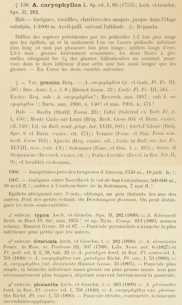 Prodrome-John_Briquet
