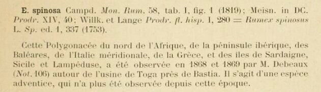 Prodrome-John_Briquet