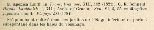 Prodrome-John_Briquet