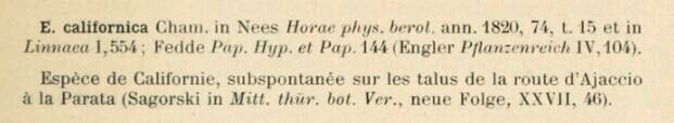 Prodrome-John_Briquet