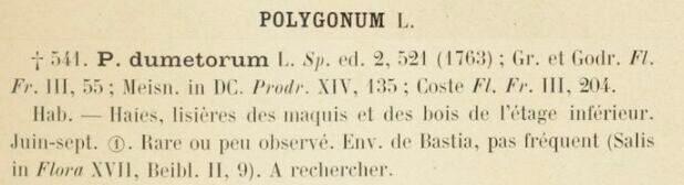 Prodrome-John_Briquet