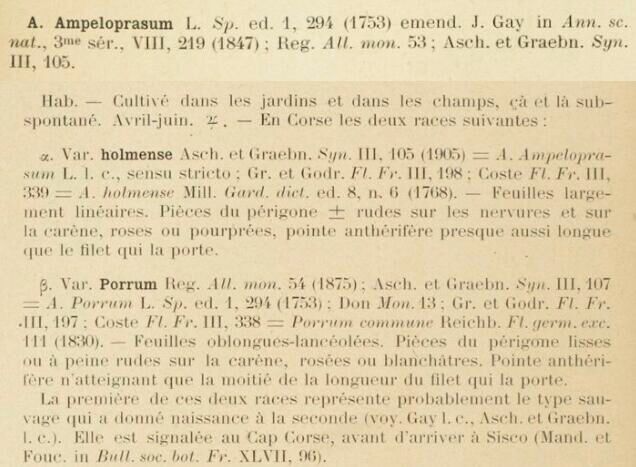 Prodrome-John_Briquet