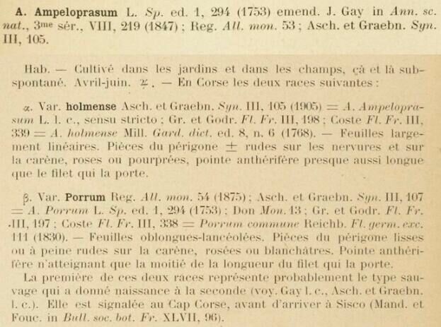 Prodrome-John_Briquet