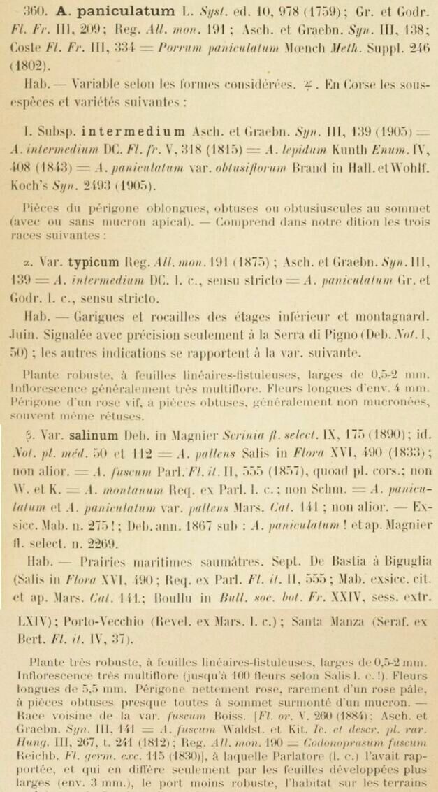 Prodrome-John_Briquet