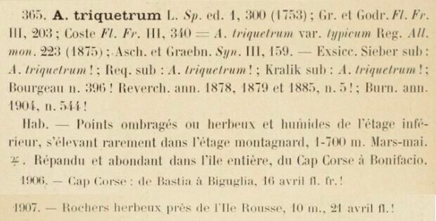 Prodrome-John_Briquet