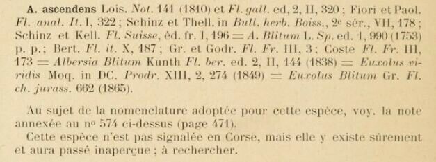 Prodrome-John_Briquet