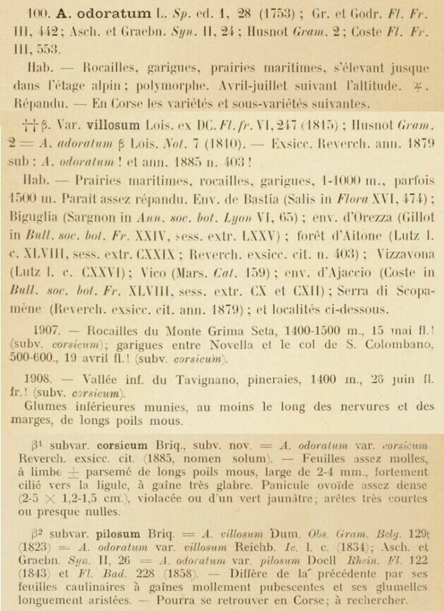 Prodrome-John_Briquet