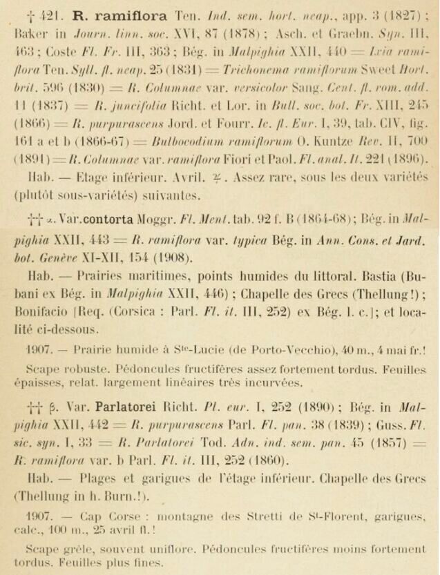 Prodrome-John_Briquet