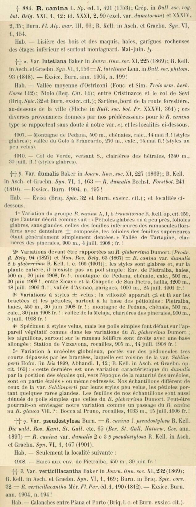 Prodrome-John_Briquet