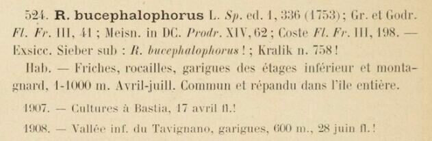 Prodrome-John_Briquet
