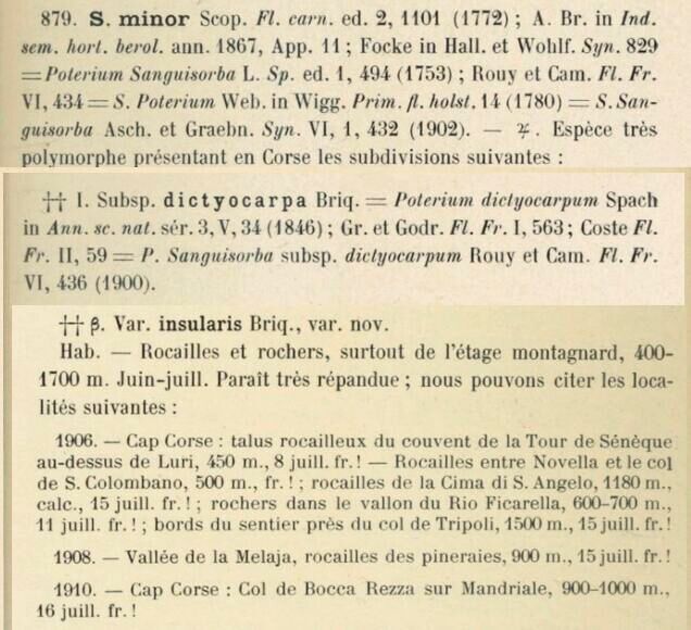 Prodrome-John_Briquet