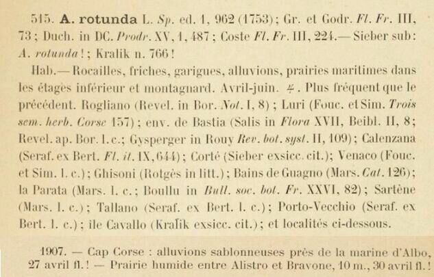 Prodrome-John_Briquet