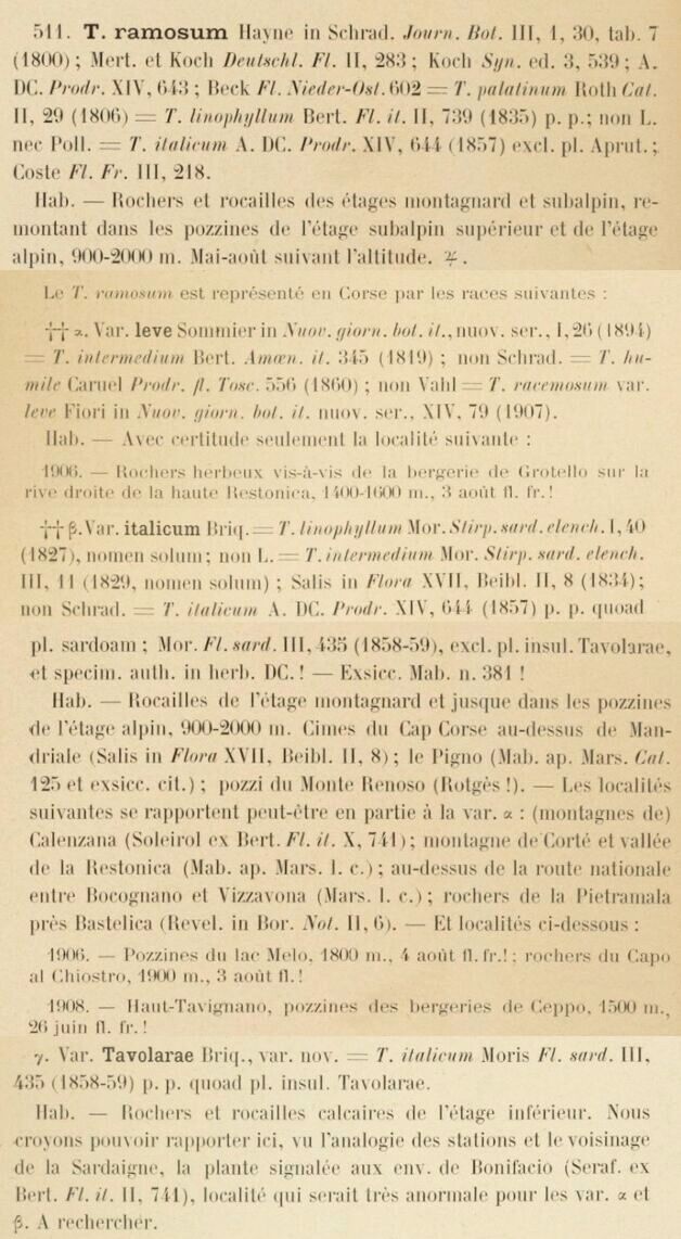 Prodrome-John_Briquet