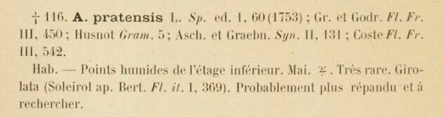 Prodrome-John_Briquet