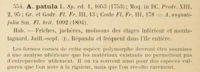 Prodrome-John_Briquet