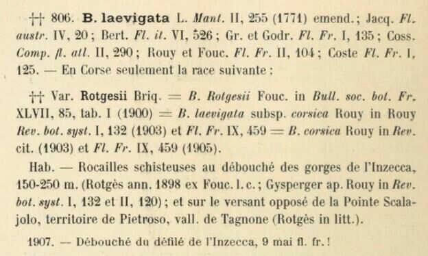 Prodrome-John_Briquet