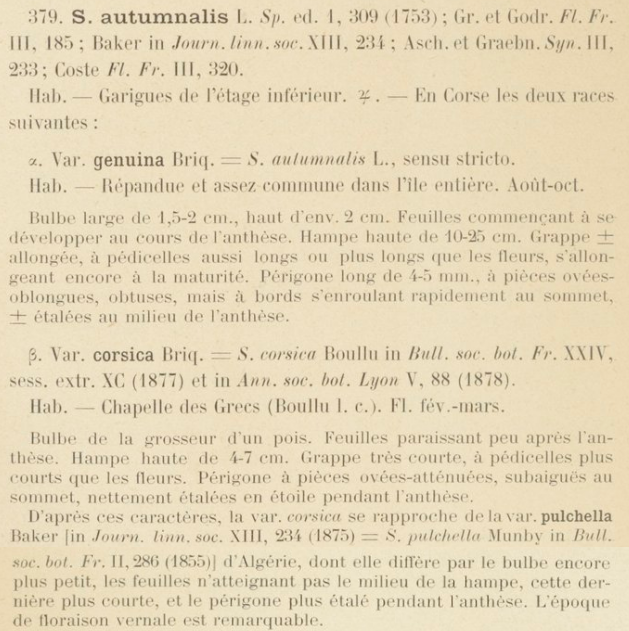 Prodrome-John_Briquet