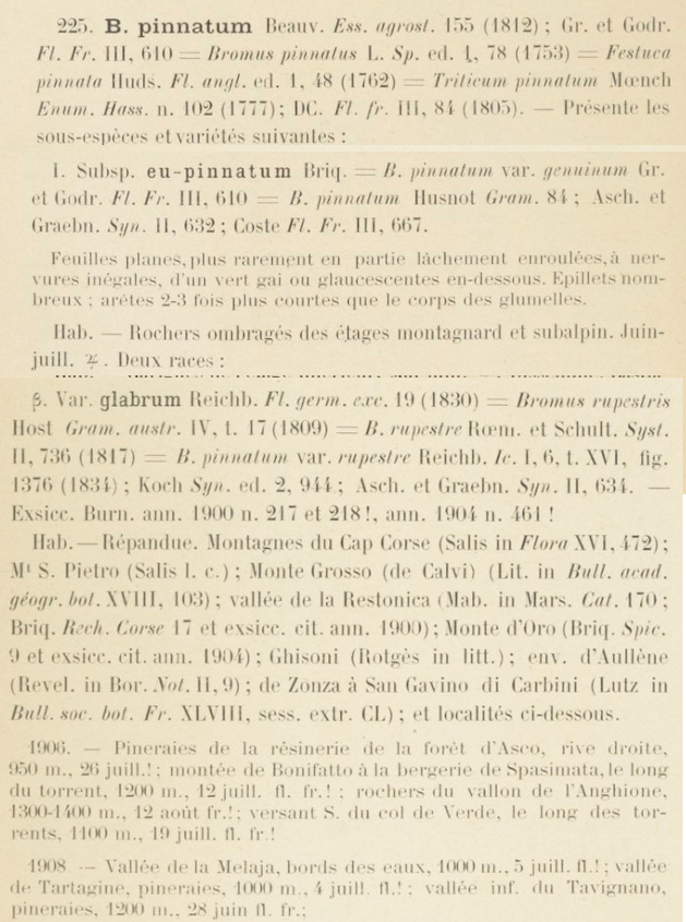 Prodrome-John_Briquet