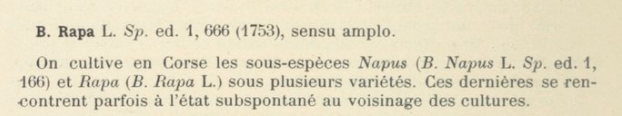 Prodrome-John_Briquet