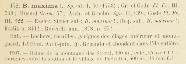 Prodrome-John_Briquet