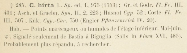 Prodrome-John_Briquet