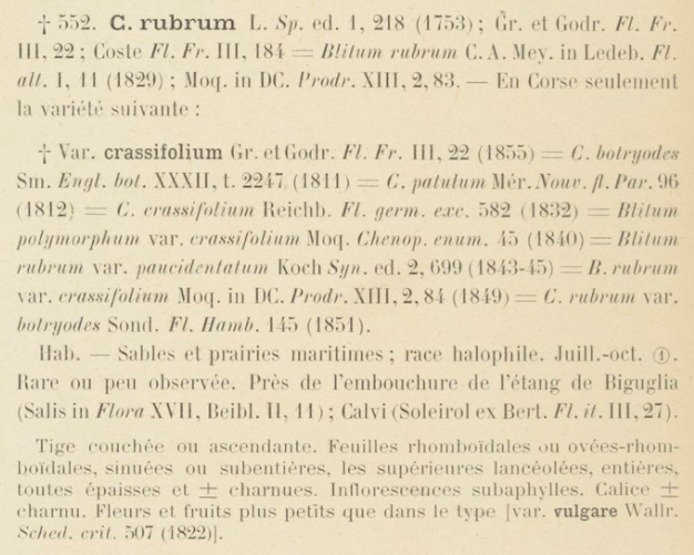 Prodrome-John_Briquet