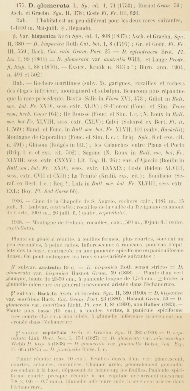 Prodrome-John_Briquet