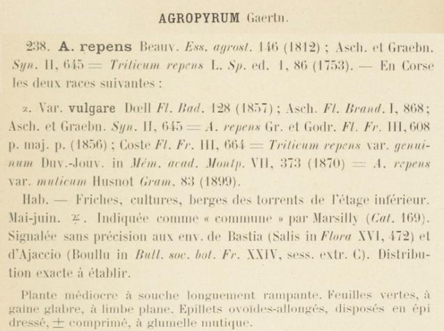 Prodrome-John_Briquet