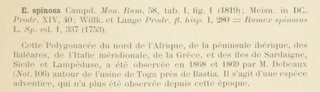 Prodrome-John_Briquet