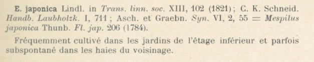 Prodrome-John_Briquet