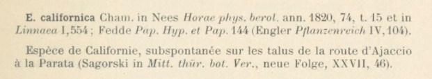 Prodrome-John_Briquet