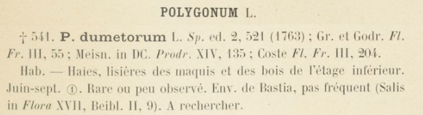 Prodrome-John_Briquet