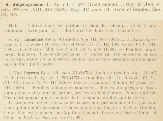 Prodrome-John_Briquet