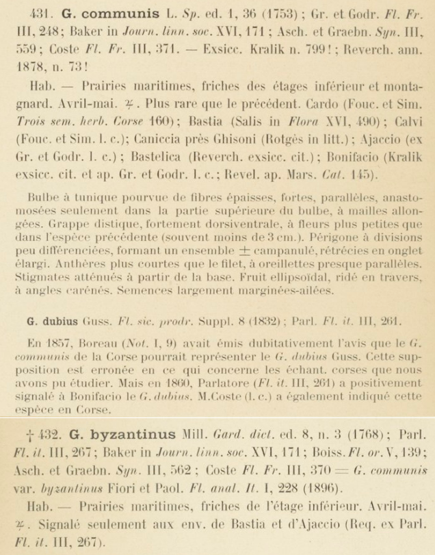 Prodrome-John_Briquet