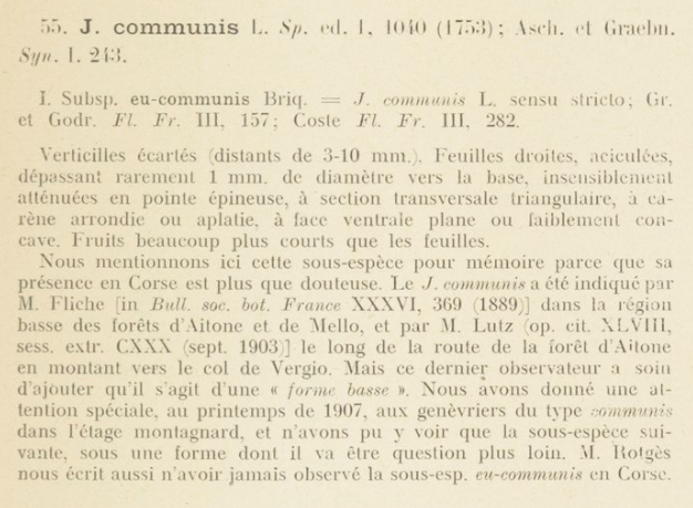 Prodrome-John_Briquet