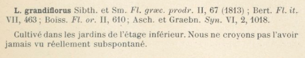 Prodrome-John_Briquet