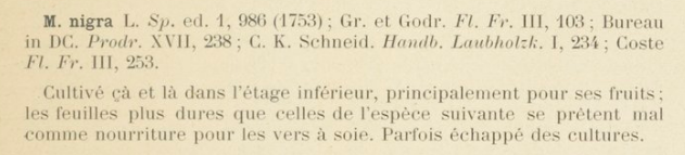 Prodrome-John_Briquet