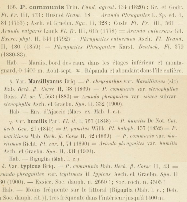 Prodrome-John_Briquet