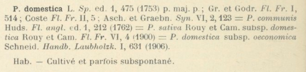 Prodrome-John_Briquet