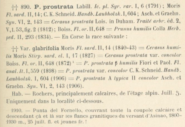 Prodrome-John_Briquet