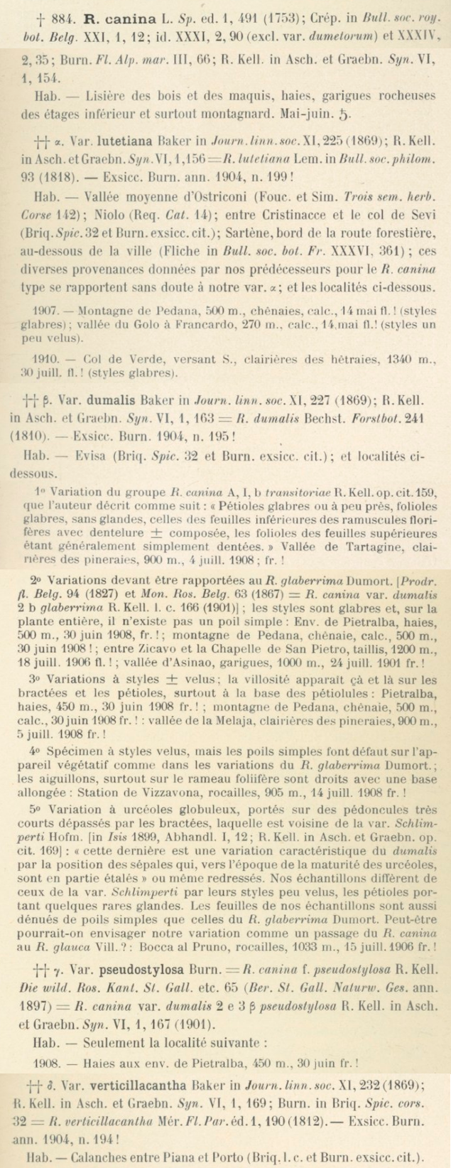 Prodrome-John_Briquet