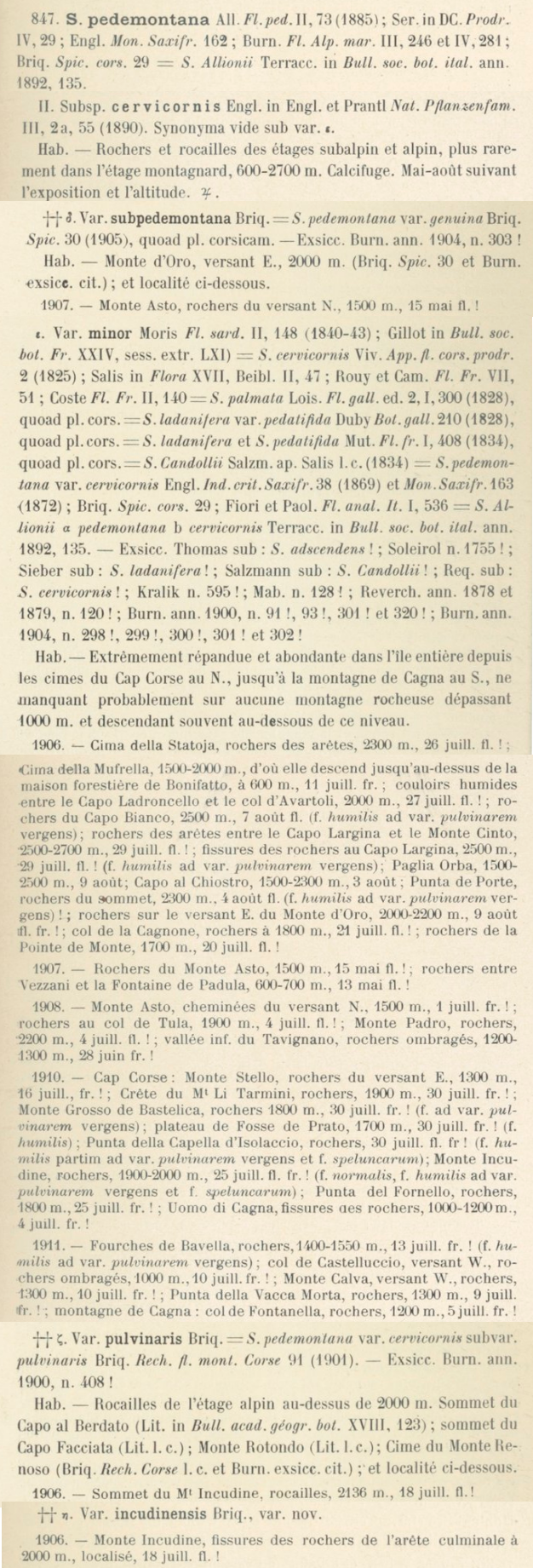 Prodrome-John_Briquet