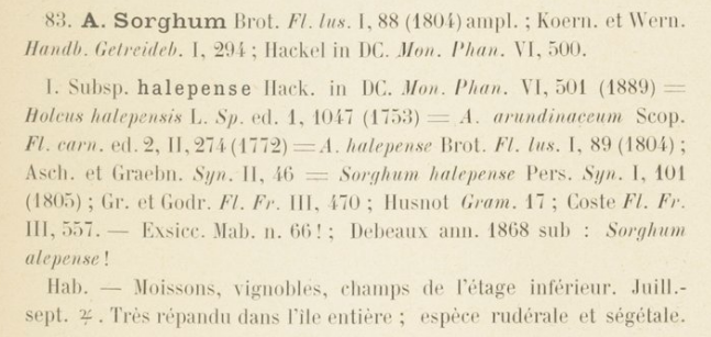 Prodrome-John_Briquet