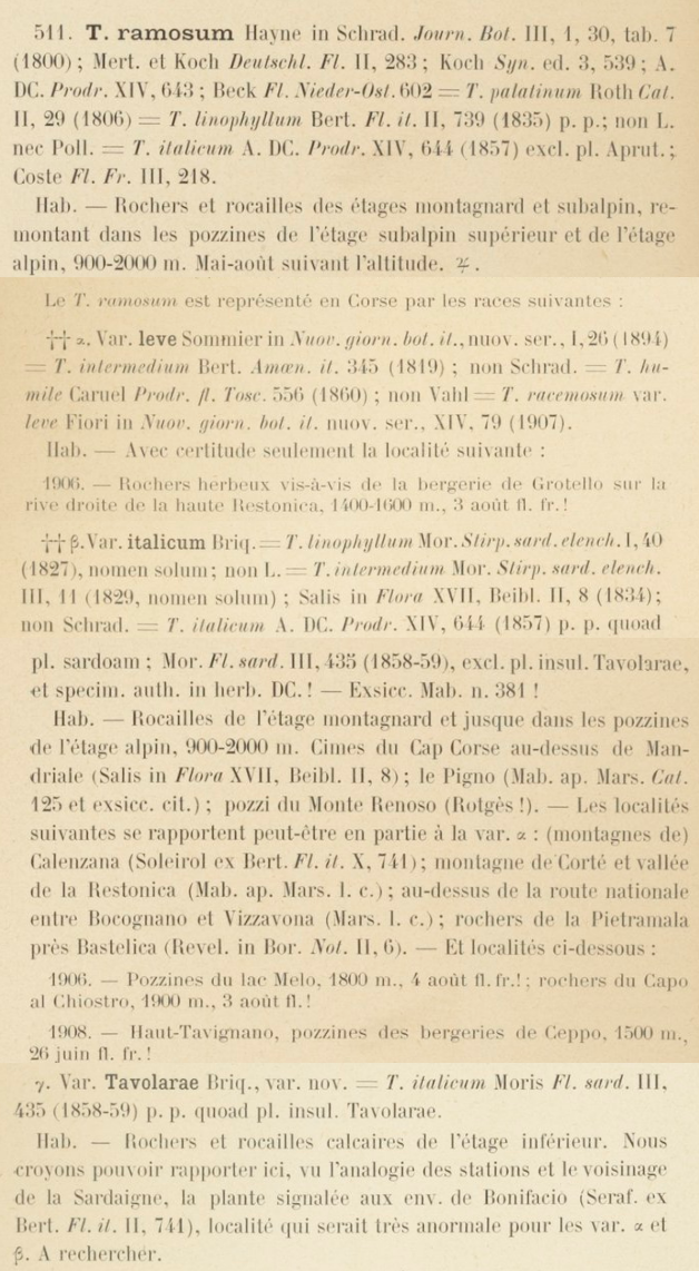 Prodrome-John_Briquet