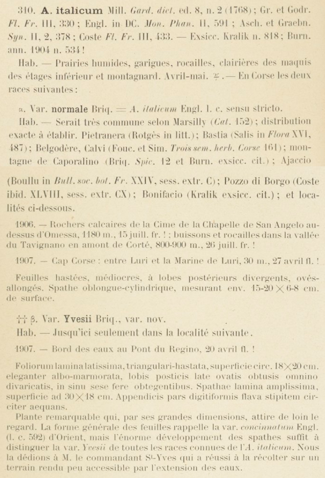 Prodrome-John_Briquet