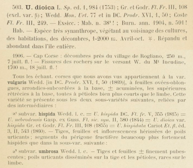 Prodrome-John_Briquet