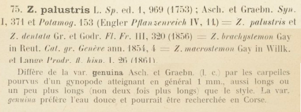 Prodrome-John_Briquet